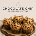 Chocolate Chip Sourdough Muffins