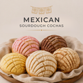 Mexican Sourdough Conchas